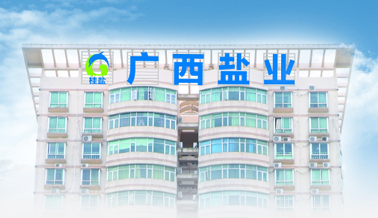廣西鹽業集團有限公司與新狐網絡達成官網建設合作協議
